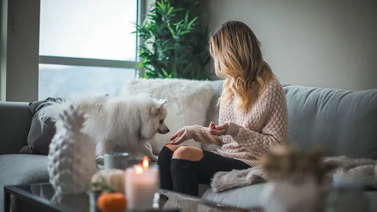 5 Quick Wins to Give You a Stress-Free New Year Cleaning